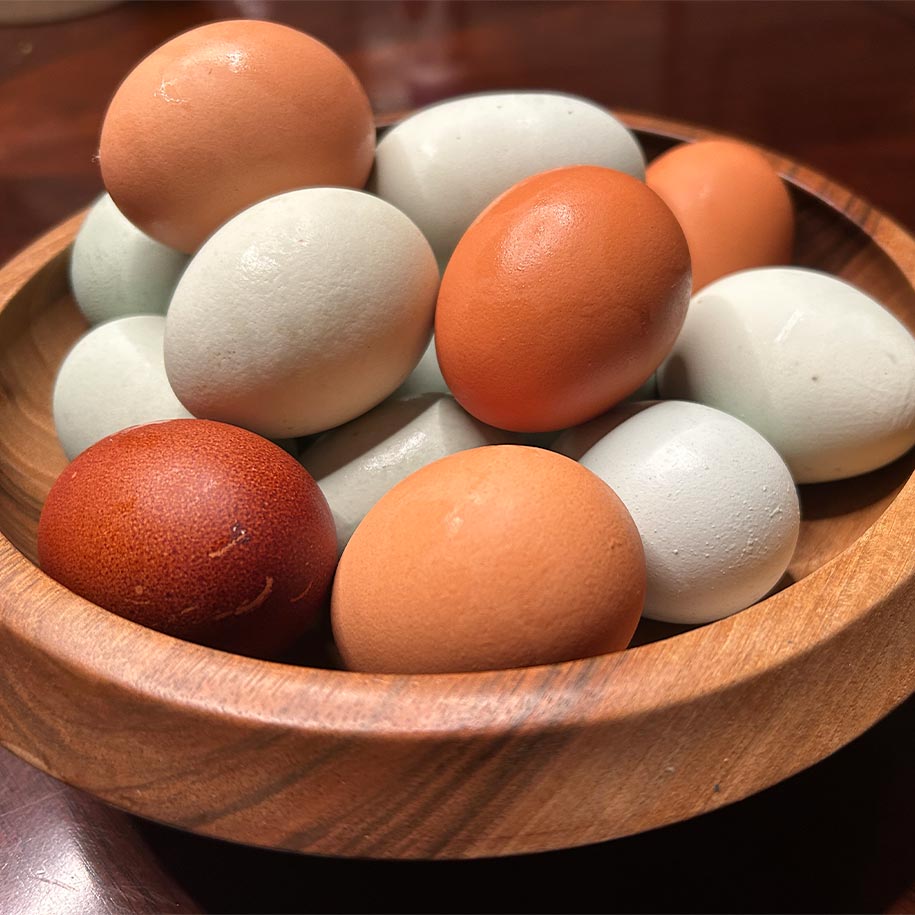 Eggs